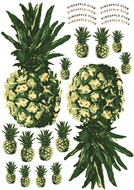 Bild von Pineapples for bag, keychains and garments - DTF A3 - for DIY